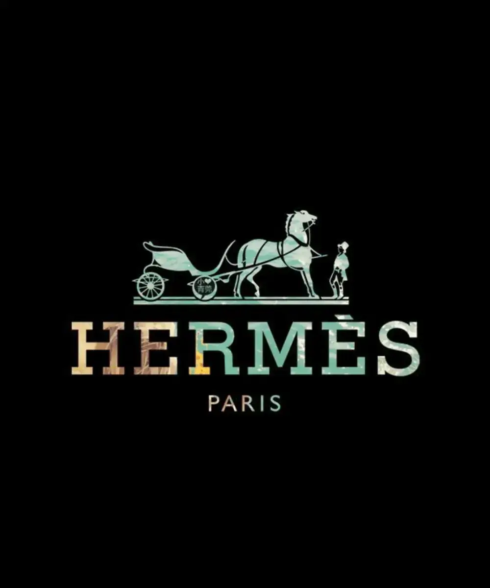 hermes logo