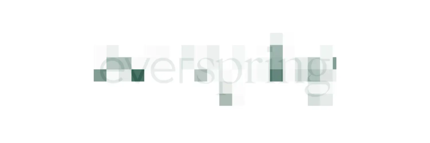 everspring woosa dropshipping suppliers