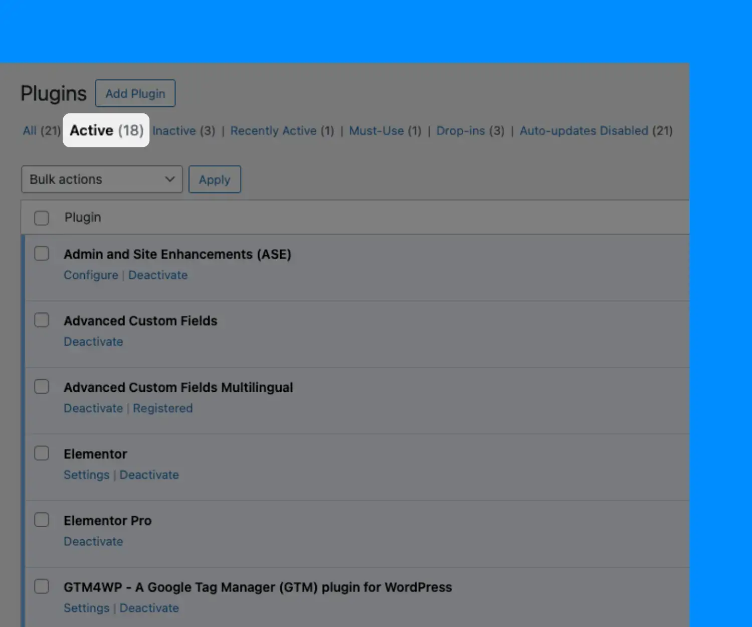 wordpress support