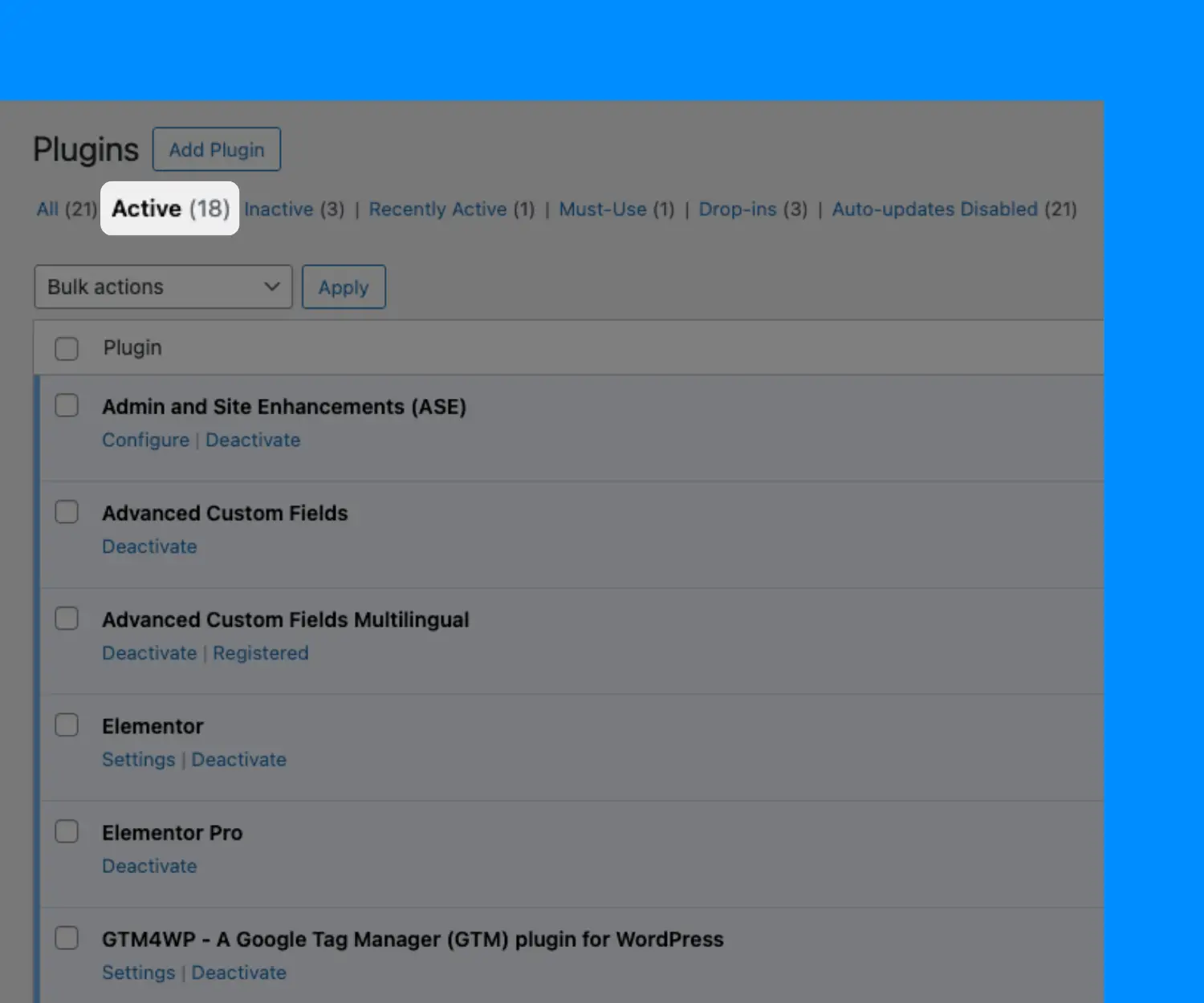 wordpress support