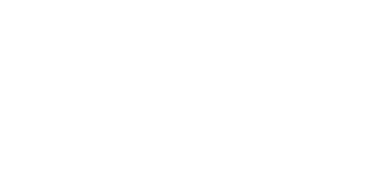 bigbuy white logo